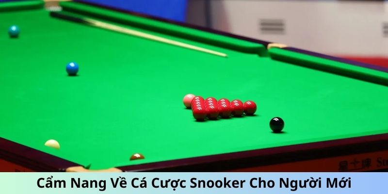 Cẩm Nang Về Cá Cược Snooker Tại Kubet88 Cho Người Mới